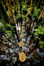 Load image into Gallery viewer, Melaleuca Magic Canvas