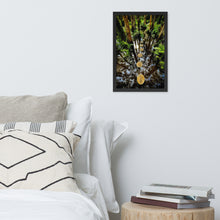 Load image into Gallery viewer, Melaleuca Magic