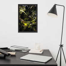 Load image into Gallery viewer, Mission Beach Forest Moment Framed Photo