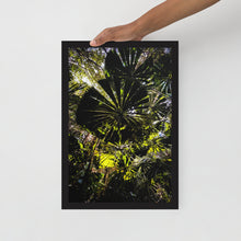 Load image into Gallery viewer, Mission Beach Forest Moment Framed Photo