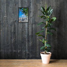 Load image into Gallery viewer, Palm Cove Paradise Framed Photo