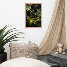 Load image into Gallery viewer, Mission Beach Forest Moment Framed Photo