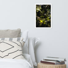 Load image into Gallery viewer, Mission Beach Forest Moment Framed Photo
